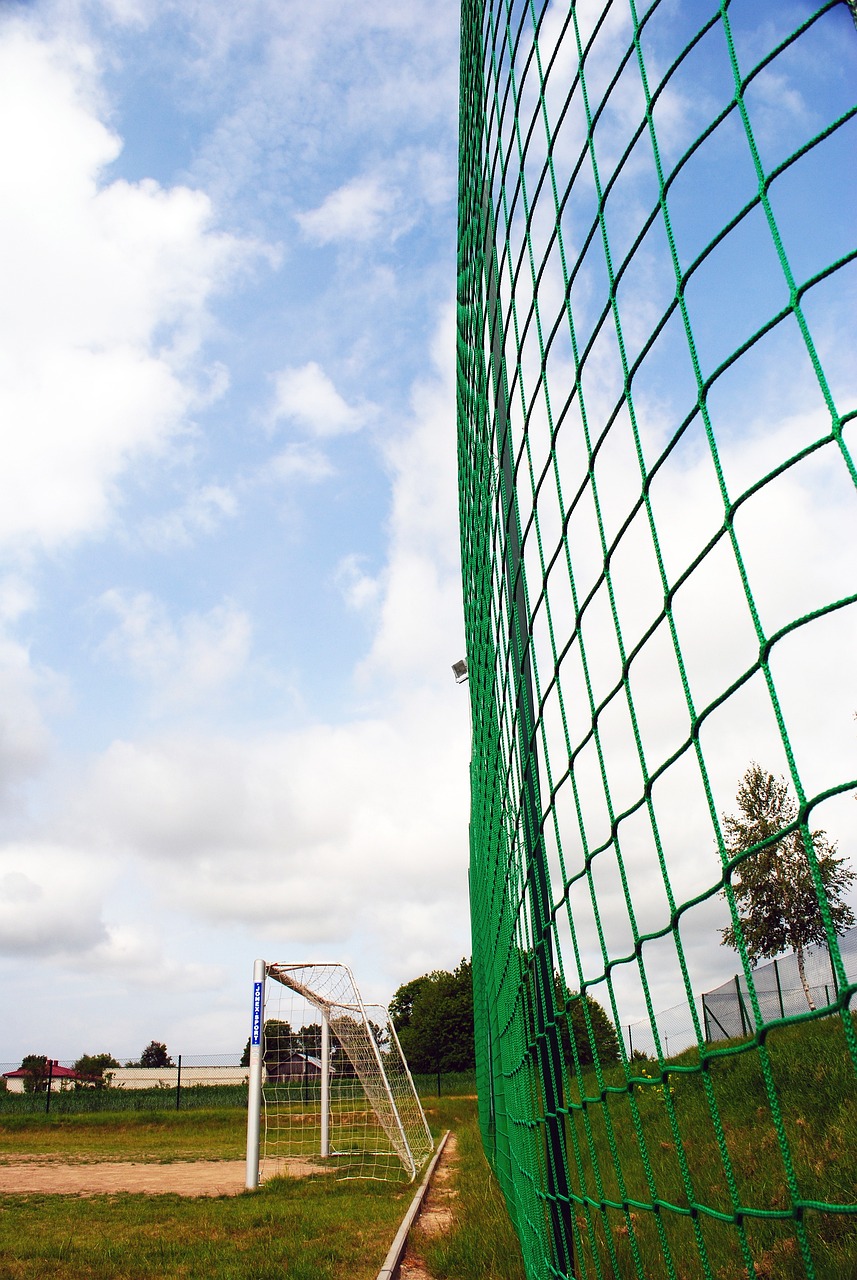 力无疑是尼 力无疑是尼