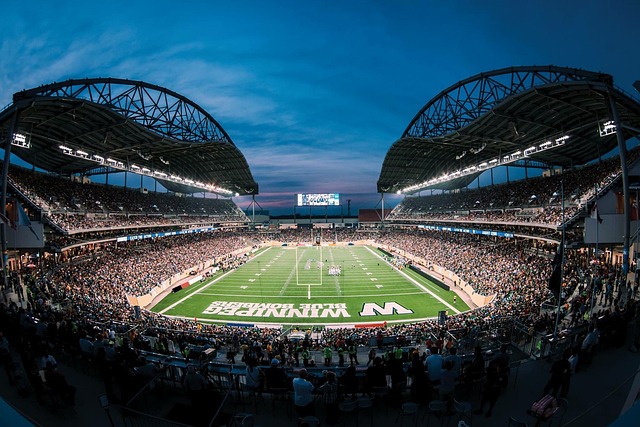 可以根据球 可以根据球