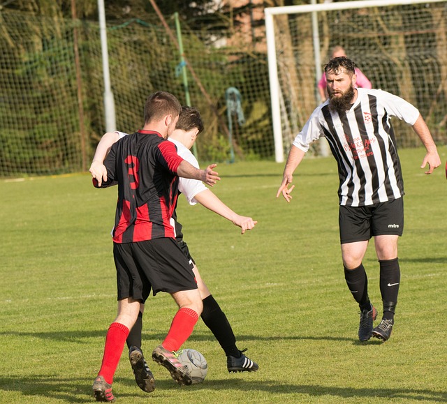 湖人成功限 湖人成功限