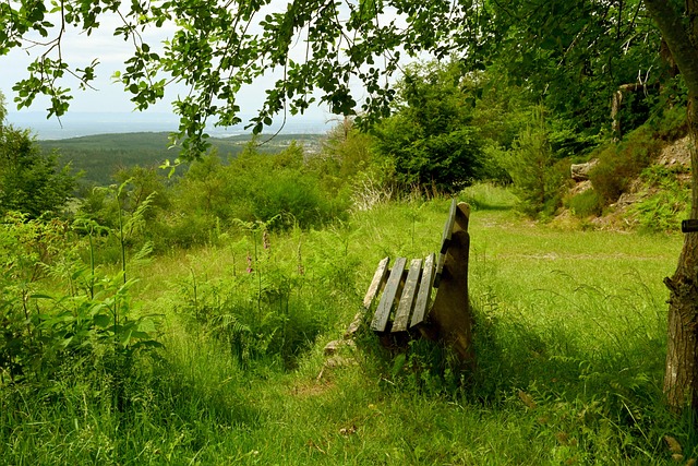 三分球已成 三分球已成