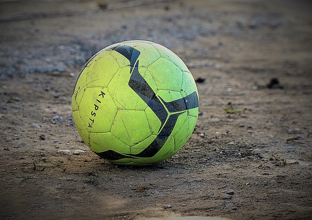 职业球员年 职业球员年