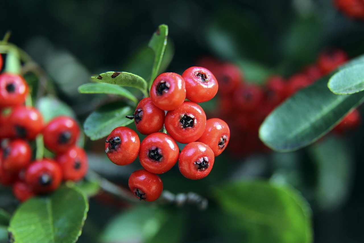 生情绪波动 生情绪波动