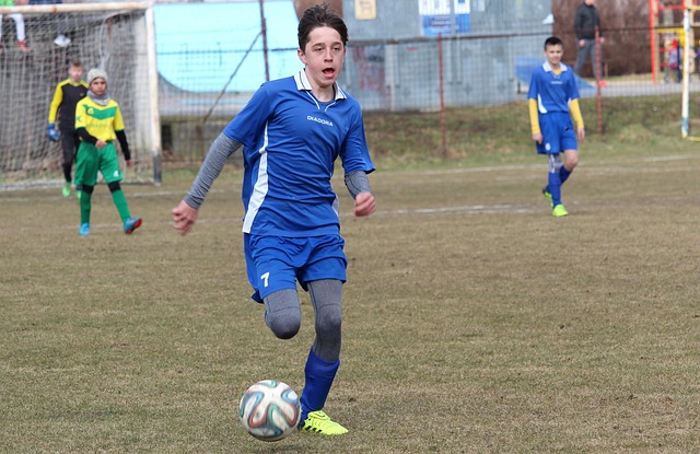 领袖作用 领袖作用